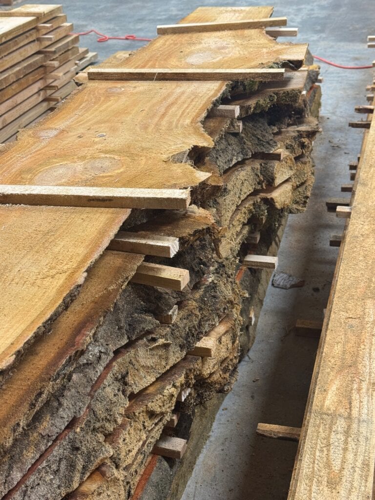 12. Lumber from the land