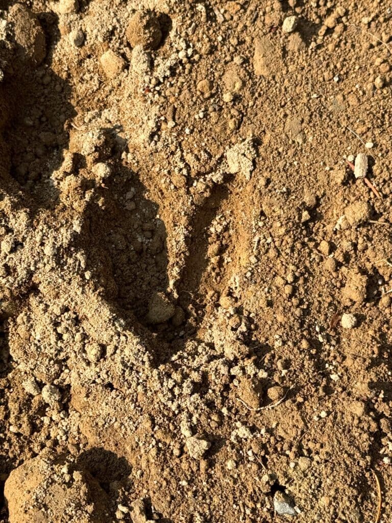 14. June 23