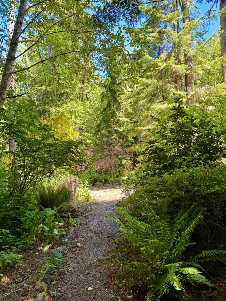 17. May 22 Site Preparation