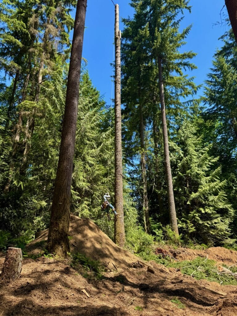 21. May 28 Site Preparation