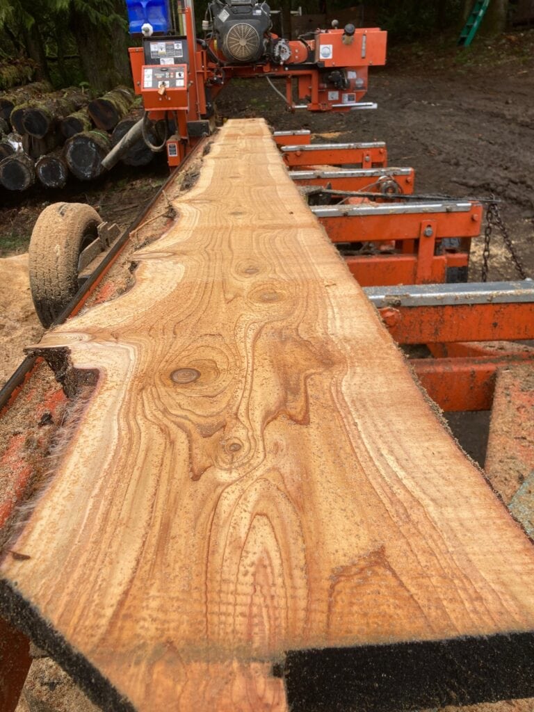 3. Lumber from the land