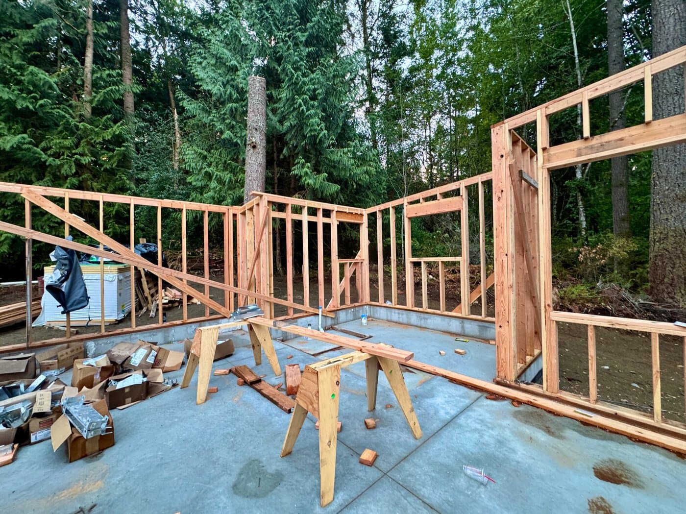 August 3 – 8 More framing!