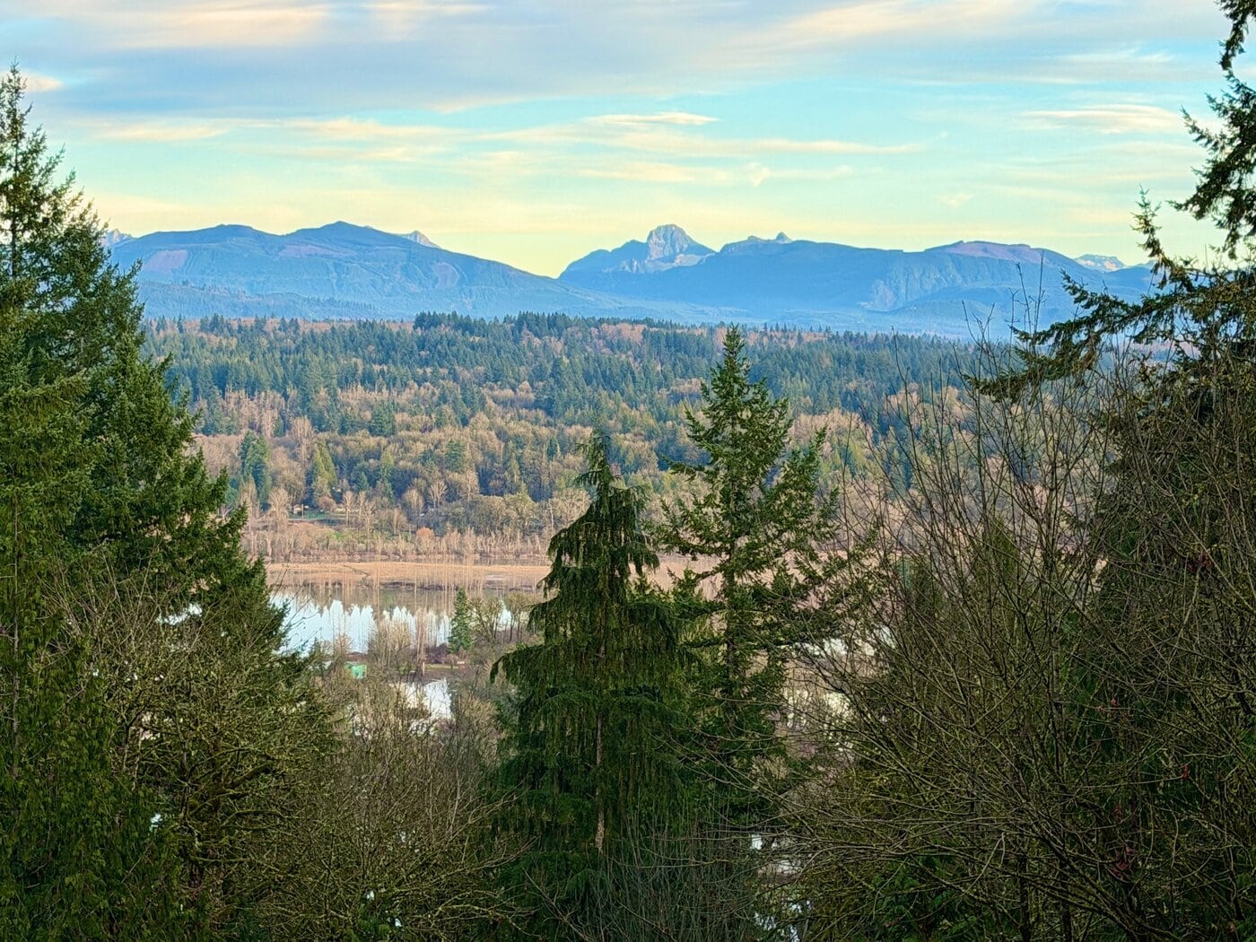 Dec. 15 – 20 Back to work